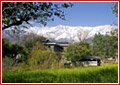 http://www.bestofhimachal.com/images/kangra-valley-pic1.jpg